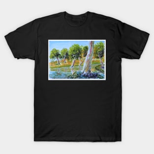 Ellery Creek Northern Territory T-Shirt